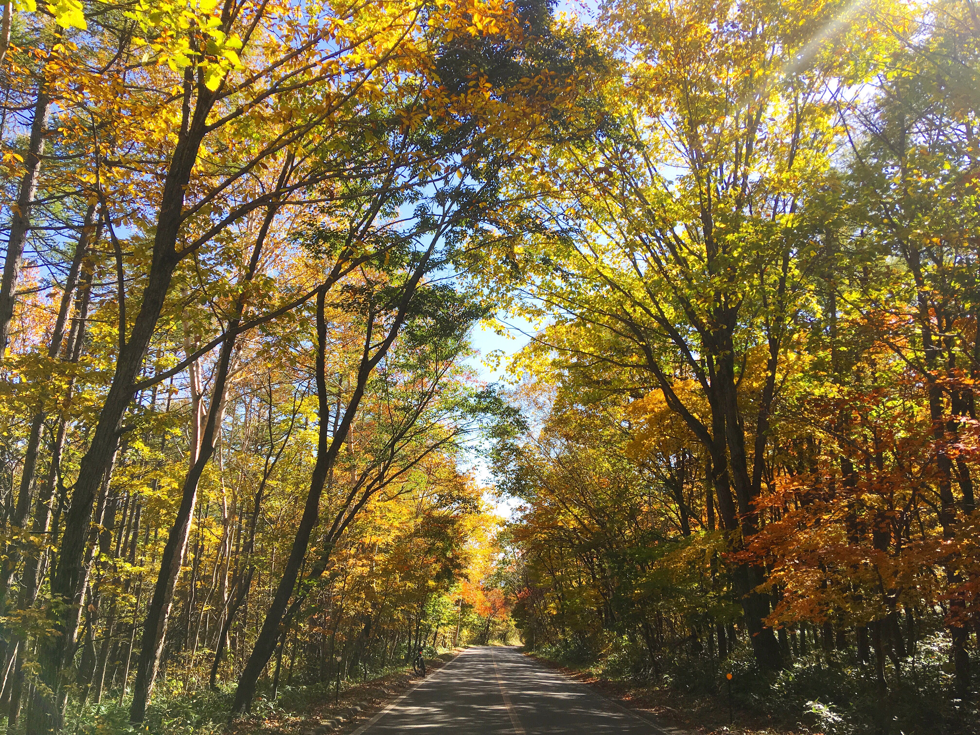紅葉トンネル 群馬県草津温泉 奈良屋